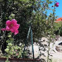 Villetta a Castelbuono