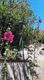 Villetta a Castelbuono