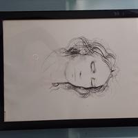 Litografia  firmata e numerata