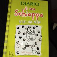 libro diario di una schiappa