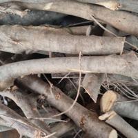 legna minuta di olivo da ardere