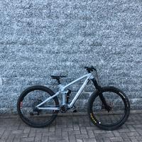 Trek remedy 9.8