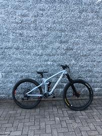 Trek remedy 9.8