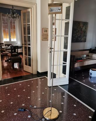 PIANTANA DA SALOTTO O CAMERA DA LETTO
