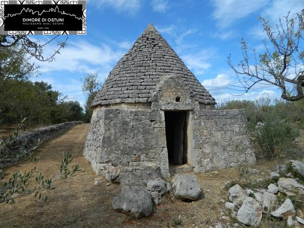 TRULLO DEL QUADRO - TERRENO 7800mq - OSTUNI