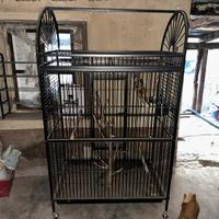 gabbia per pappagalli