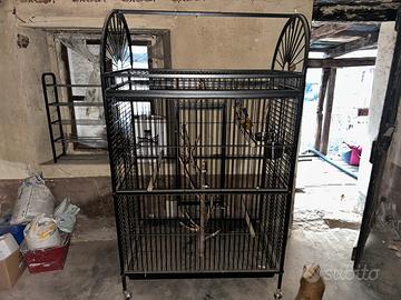 gabbia per pappagalli