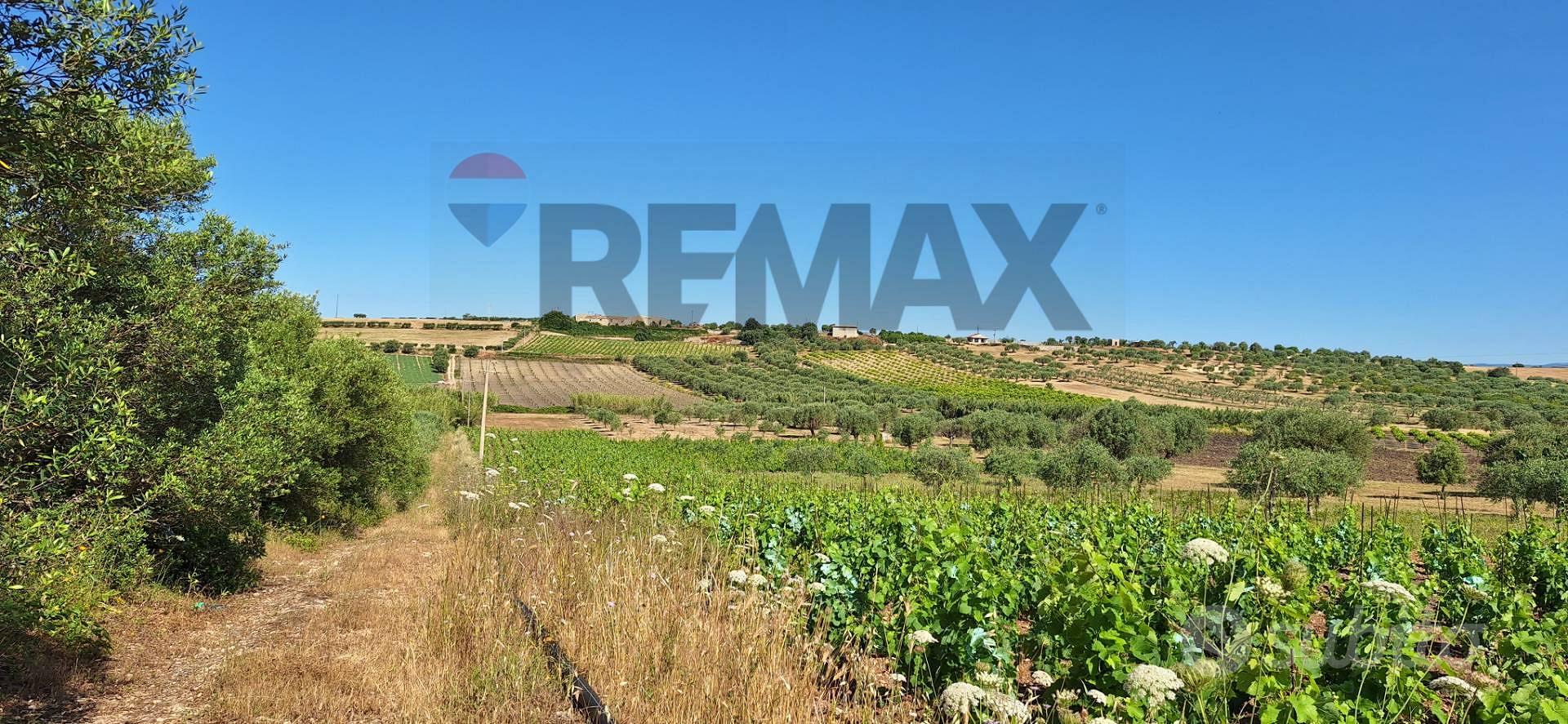 Terreno - Noto - Vista 3