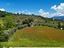 Immagine 24