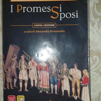 i promessi sposi - 9788839511980