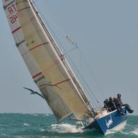 Barca a vela Farr 31, natante