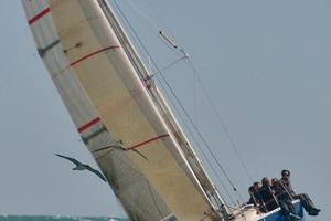 Barca a vela Farr 31, natante