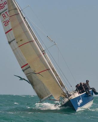 Barca a vela Farr 31, natante