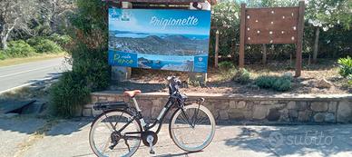 E-BIKE NSR BELLE EPOQUE 28" - 2025