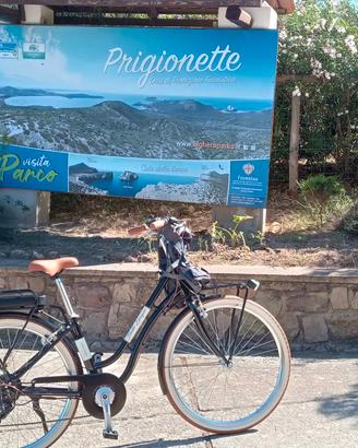 E-BIKE NSR BELLE EPOQUE 28" - 2025