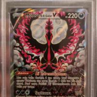 Pokemon Moltres di galar v cre177 PSA8 ITA