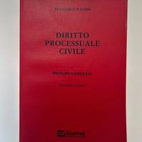 Manuale di diritto processuale civile