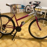 Mountainbike Montana