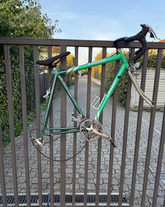 Bici Moser campagnolo