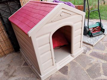 Cuccia mai usata praticamente nuova