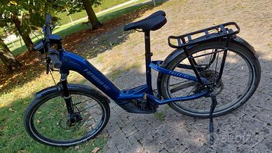 Bicicletta a pedalata assistita