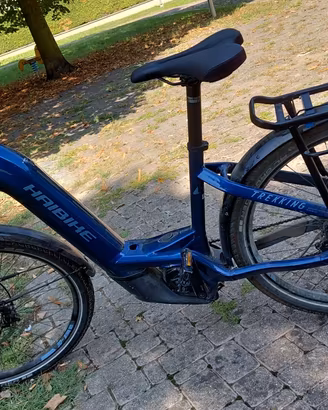 Bicicletta a pedalata assistita
