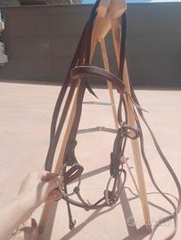 Testiera briglie e morso