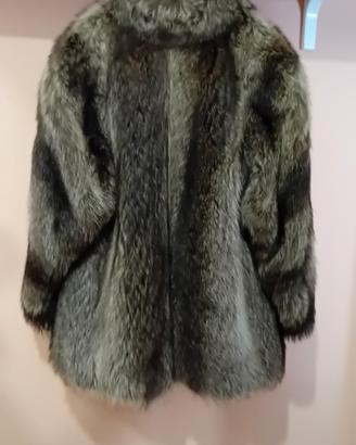 pelliccia marmotta 