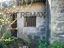 Immagine 21