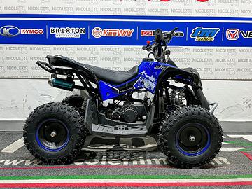 Mini Quad 50 Renegade blu