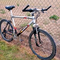 Bicicletta Mountain bike