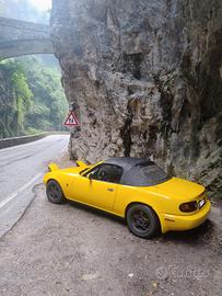 mx5 na Yellow sunbrust 