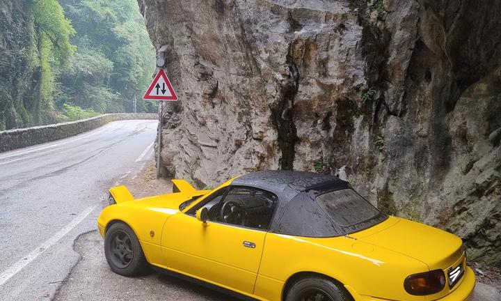 mx5 na Yellow sunbrust 