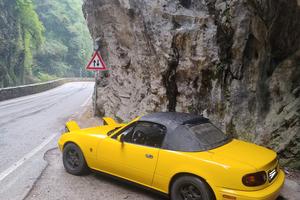mx5 na Yellow sunbrust 