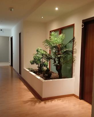 Monolocale 500,00, mensile