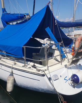 barca a vela comet
