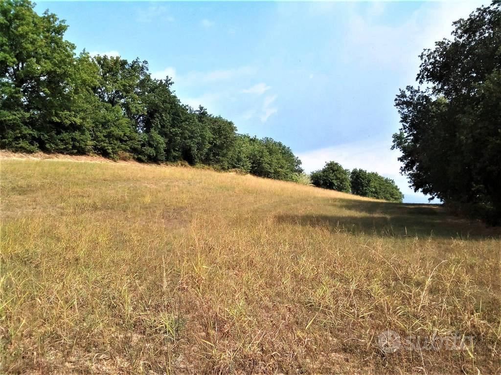 Terreno di 124220 m² a Montefalco - Vista 5