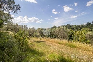 TER. AGRICOLO A PALOMBARA SABINA