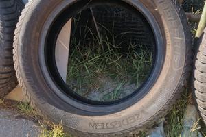 gomme invernali