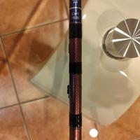 Canna da pesca daiwa