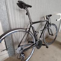 Bici da corsa Ridley Fenix