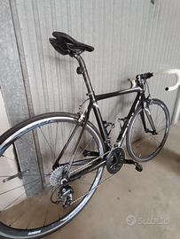 Bici da corsa Ridley Fenix