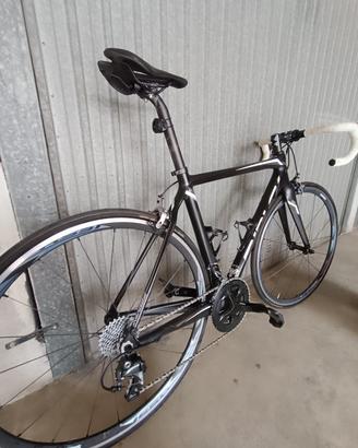 Bici da corsa Ridley Fenix