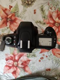 Nikon F65 Reflex Analogica 35mm