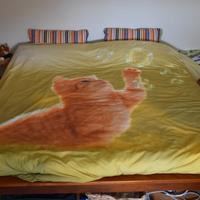 Letto matrimoniale Kimono (in legno)
