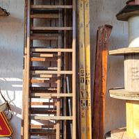 giardinaggio fai da te 