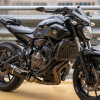 Piastrina depotenziamento 35kW MT-07 2014-2016