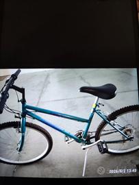 bicicletta - mountain bike verde  Legnano