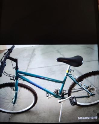 bicicletta - mountain bike verde  Legnano