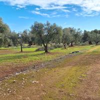 Terreno agricolo